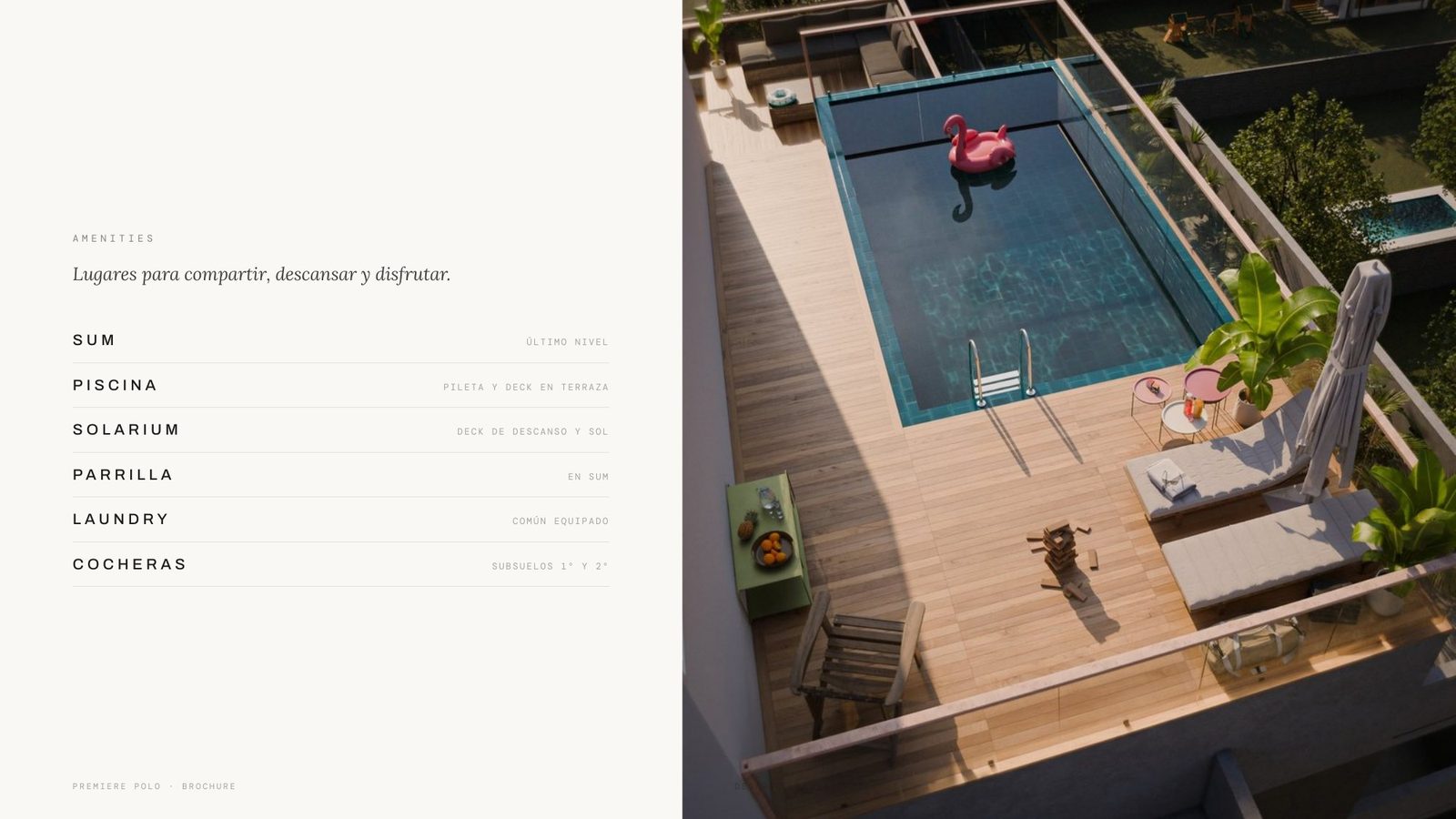 Brochure de Polo — amenities y pileta en la terraza