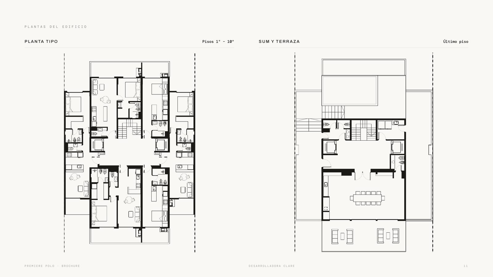 Brochure de Polo — planta tipo y terraza